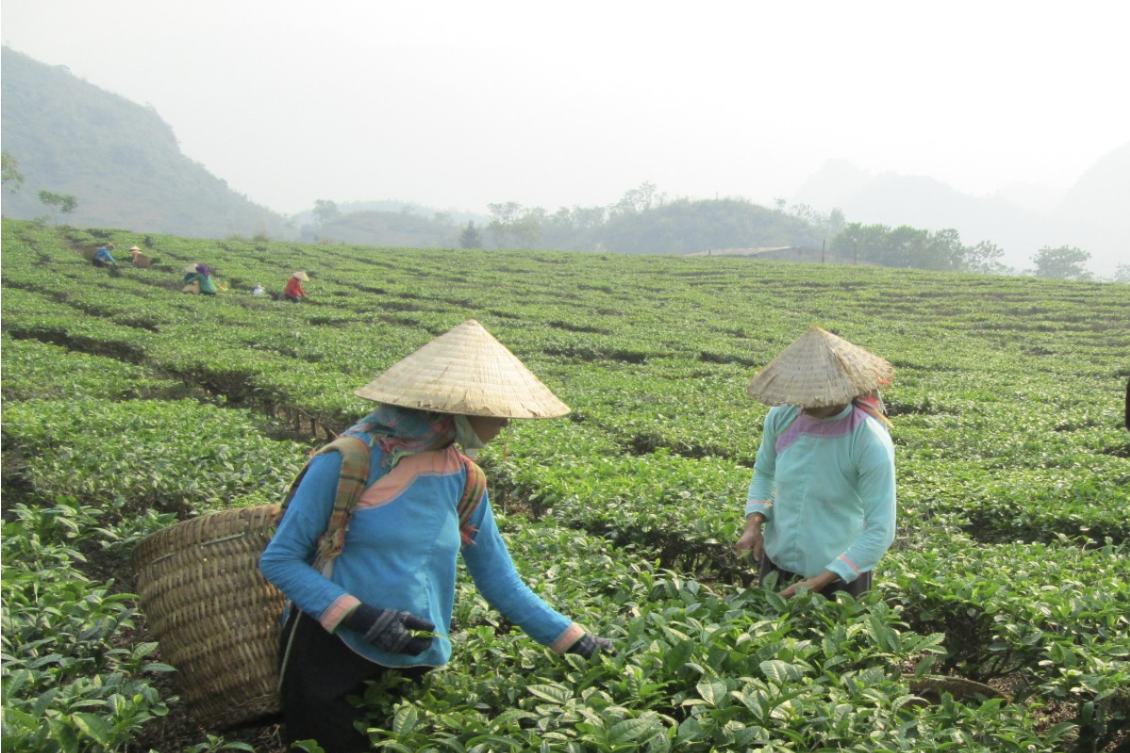 Xã Bản Giang: Đời sống của người dân cải thiện nhờ xây dựng nông thôn mới