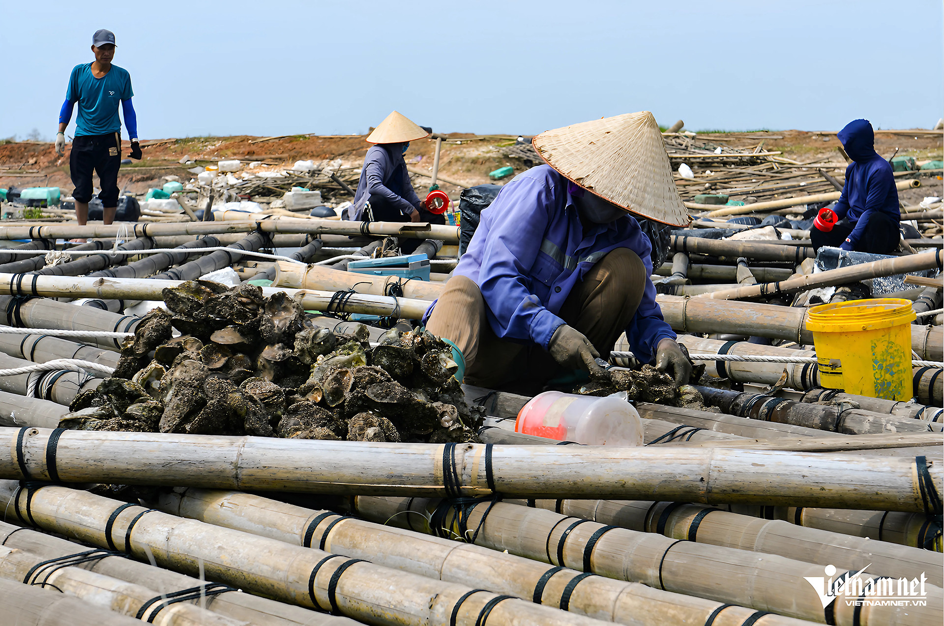 IMG_6B6624B2A124 1.jpg