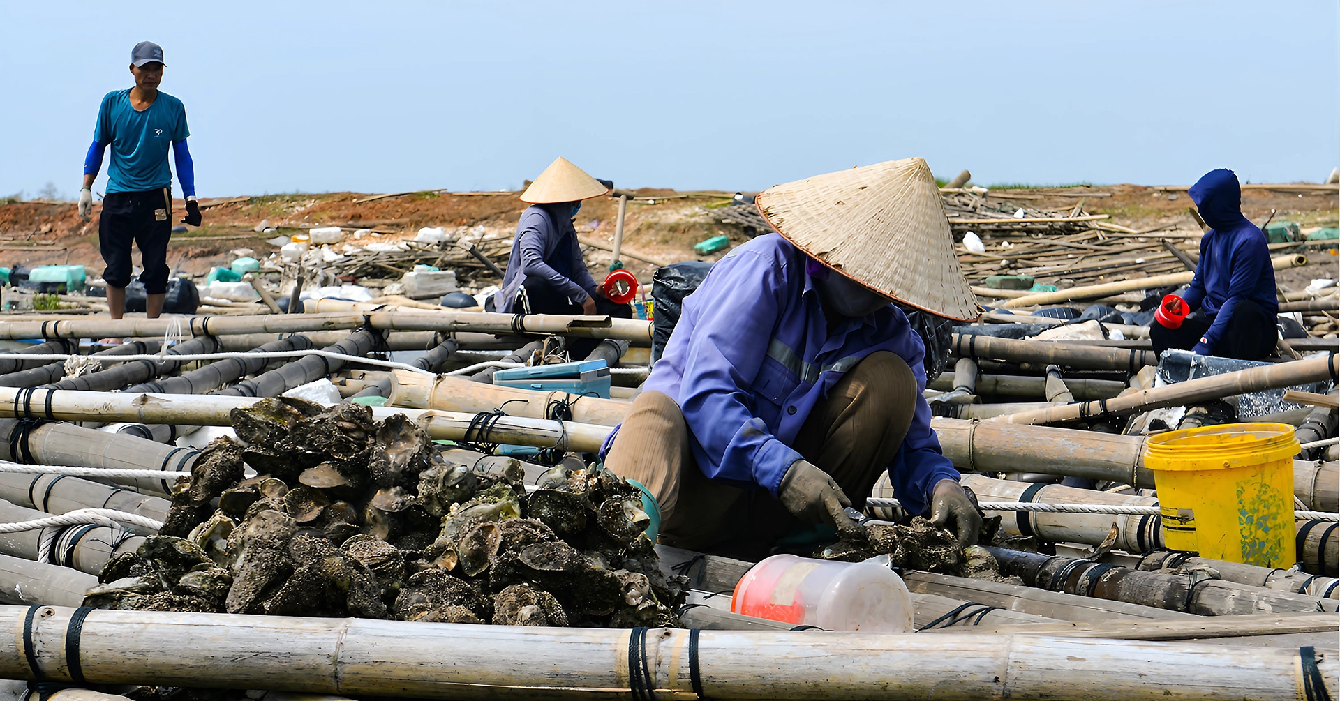 Thủ tướng: Miễn, giảm thuế và lãi vay cho người dân, doanh nghiệp bị bão lũ