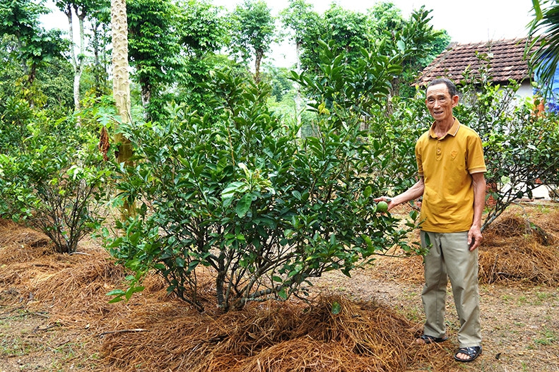 Tích cực ứng dụng công nghệ, nâng cao giá trị vườn mẫu nông thôn mới