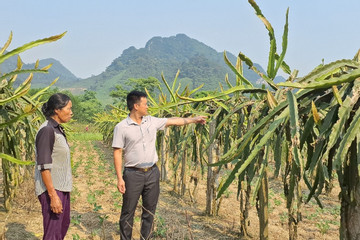 Tuyên truyền, cung cấp kiến thức để đồng bào dân tộc thiểu số thoát nghèo