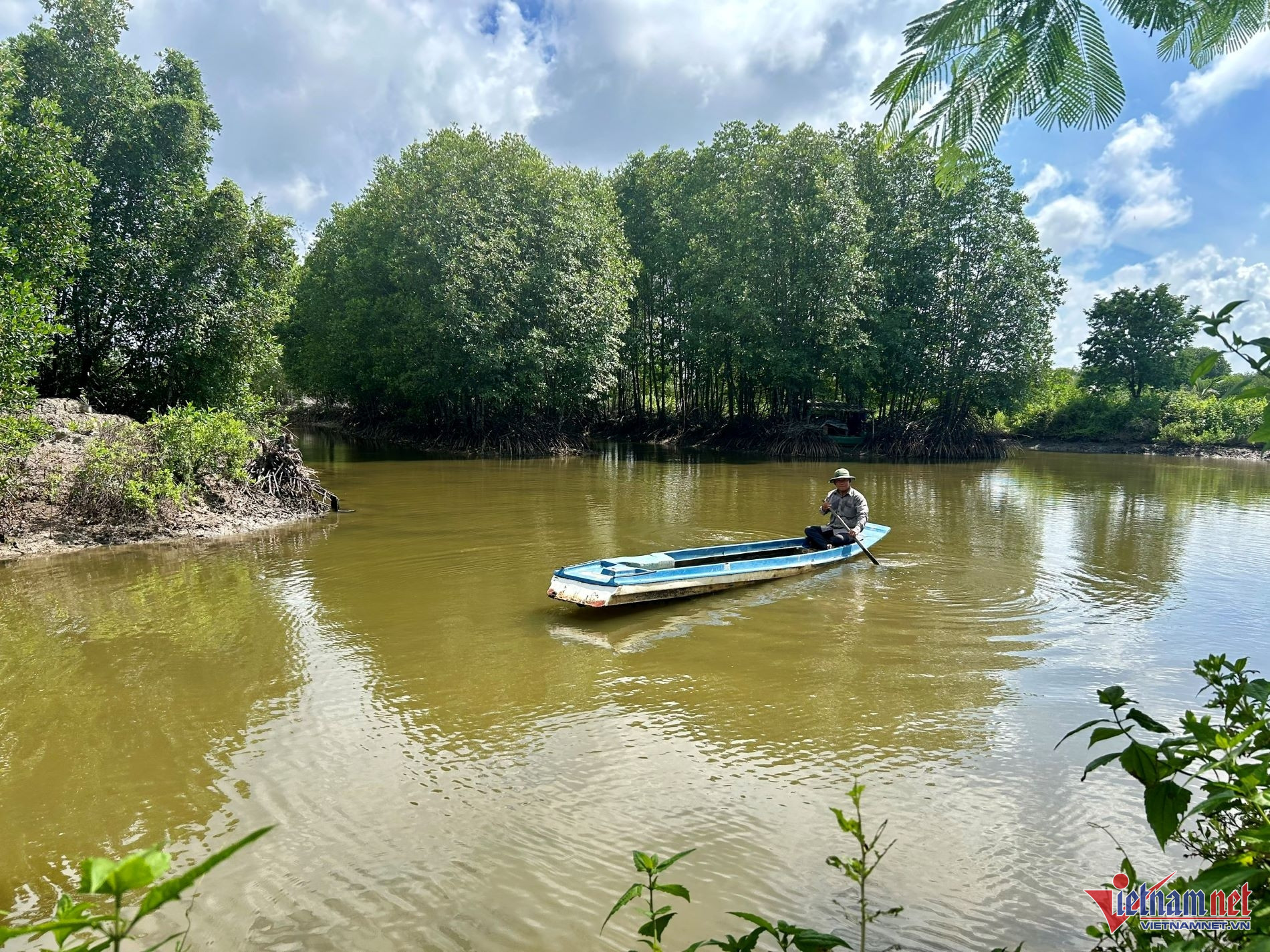 W-40   Phát huy giá trị nguồn lợi từ rừng gắn với mục tiêu NetZero và PTBV.jpg