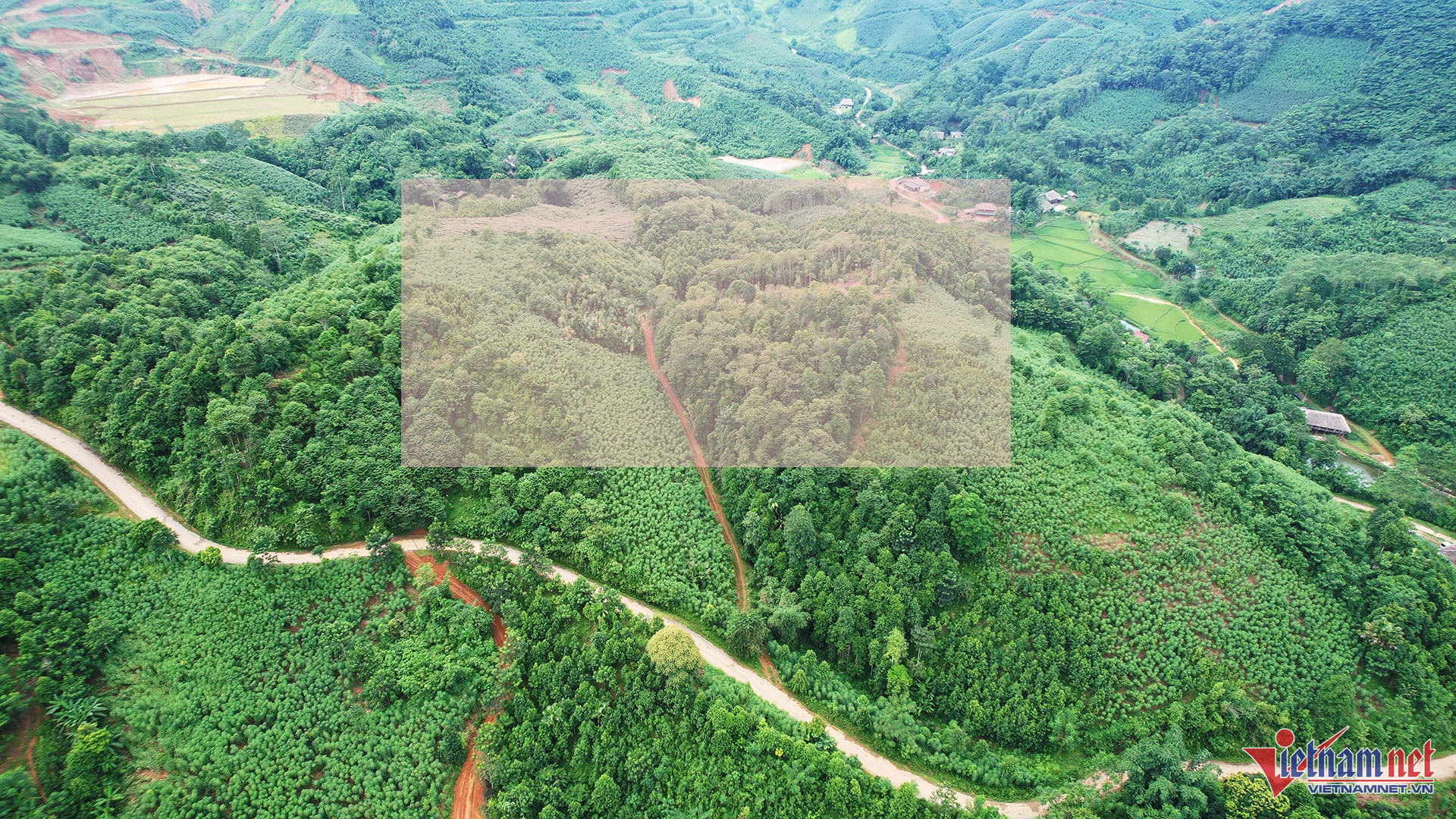 w lang nu moi 8 17585.jpg