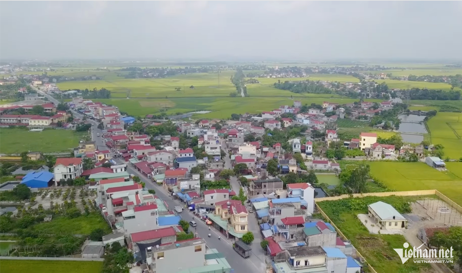 W-Vụ Bản.png