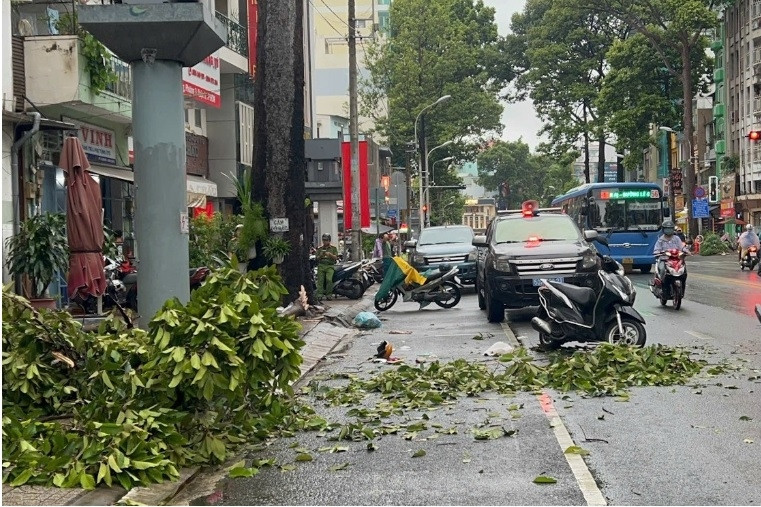 Một phụ nữ tử vong do nhánh cây rơi trúng đầu trong mưa lớn ở TPHCM