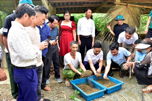 Nông dân Lào Cai học tập kinh nghiệm xử lý rác thải hữu cơ