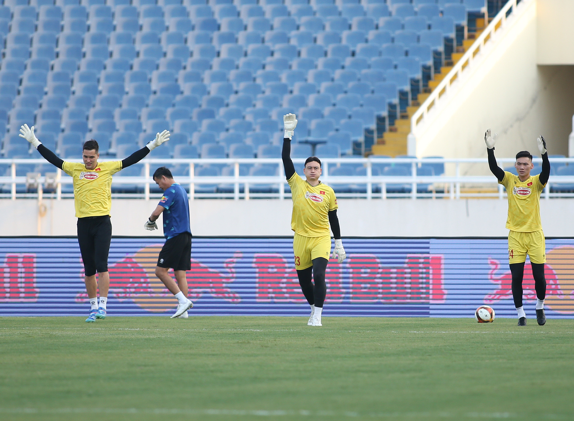 tuyen viet nam 2.JPG