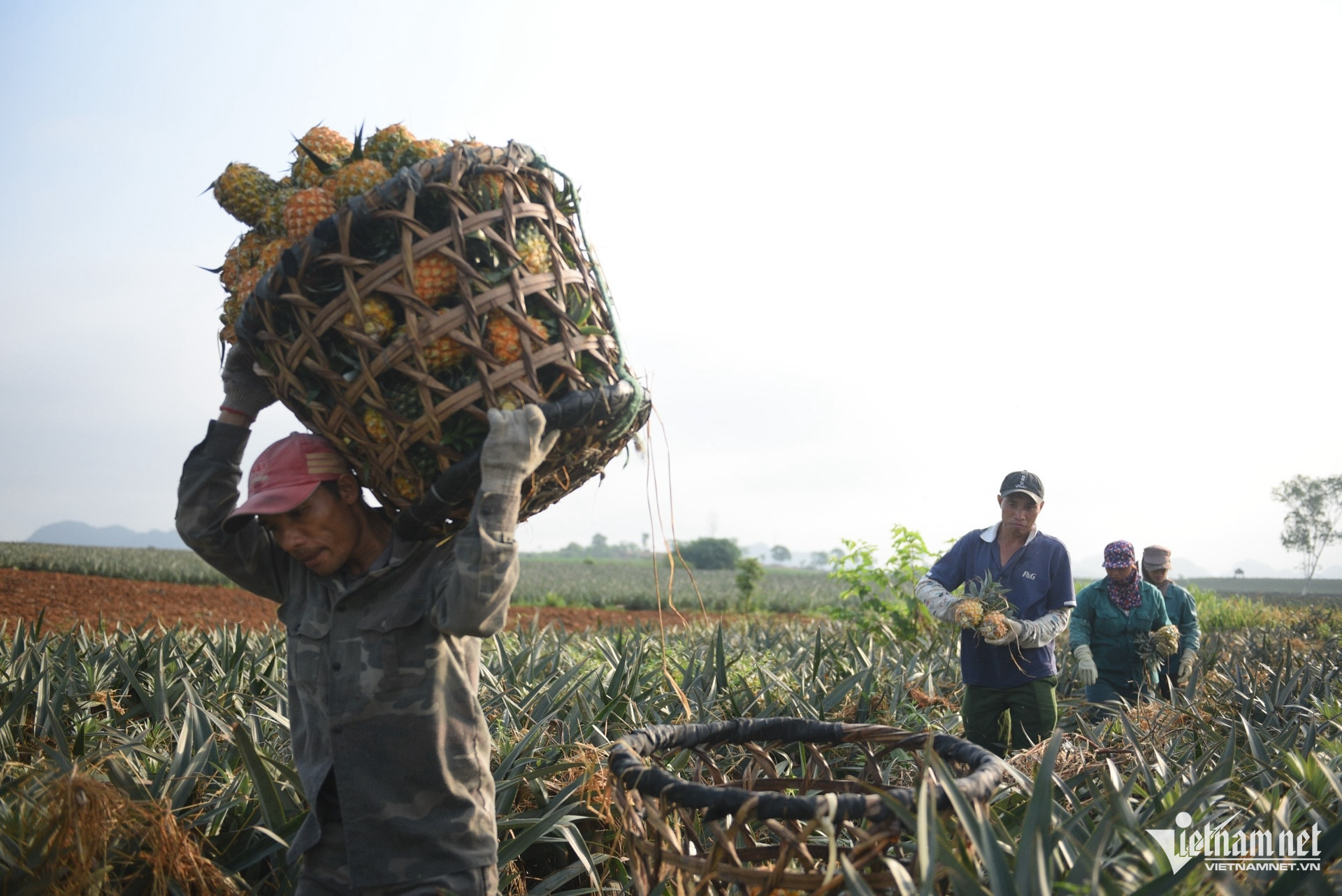 W-Giảm nghèo (101).jpg