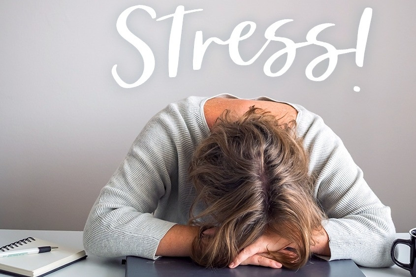 Bài học cuộc đời: Khi stress không hẳn là stress