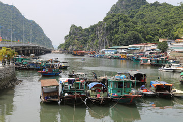 Quảng Ninh ứng phó với bão Yagi, yêu cầu không để thiệt hại về người do chủ quan