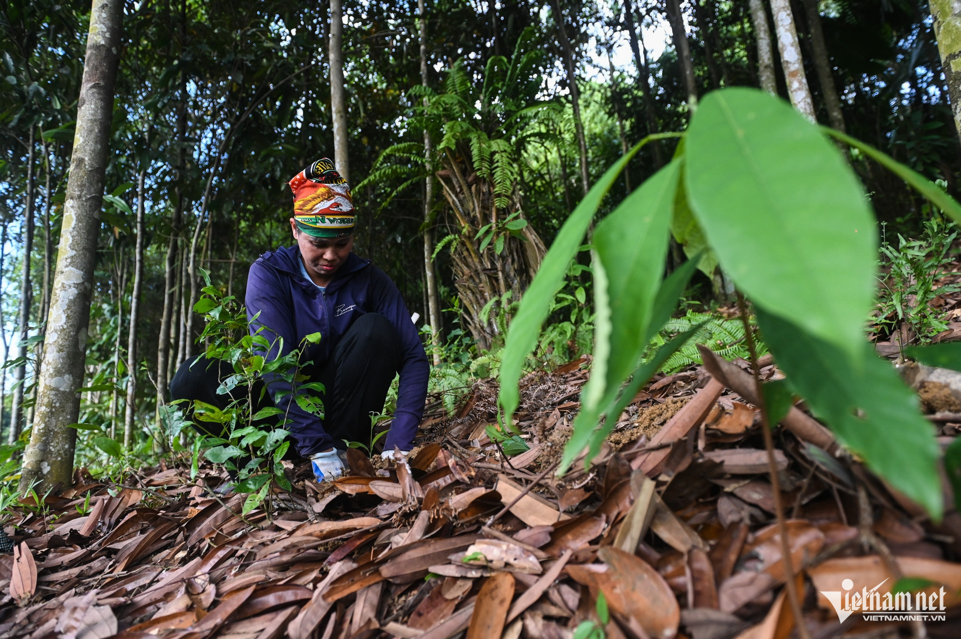 W-Giảm nghèo (1).jpg