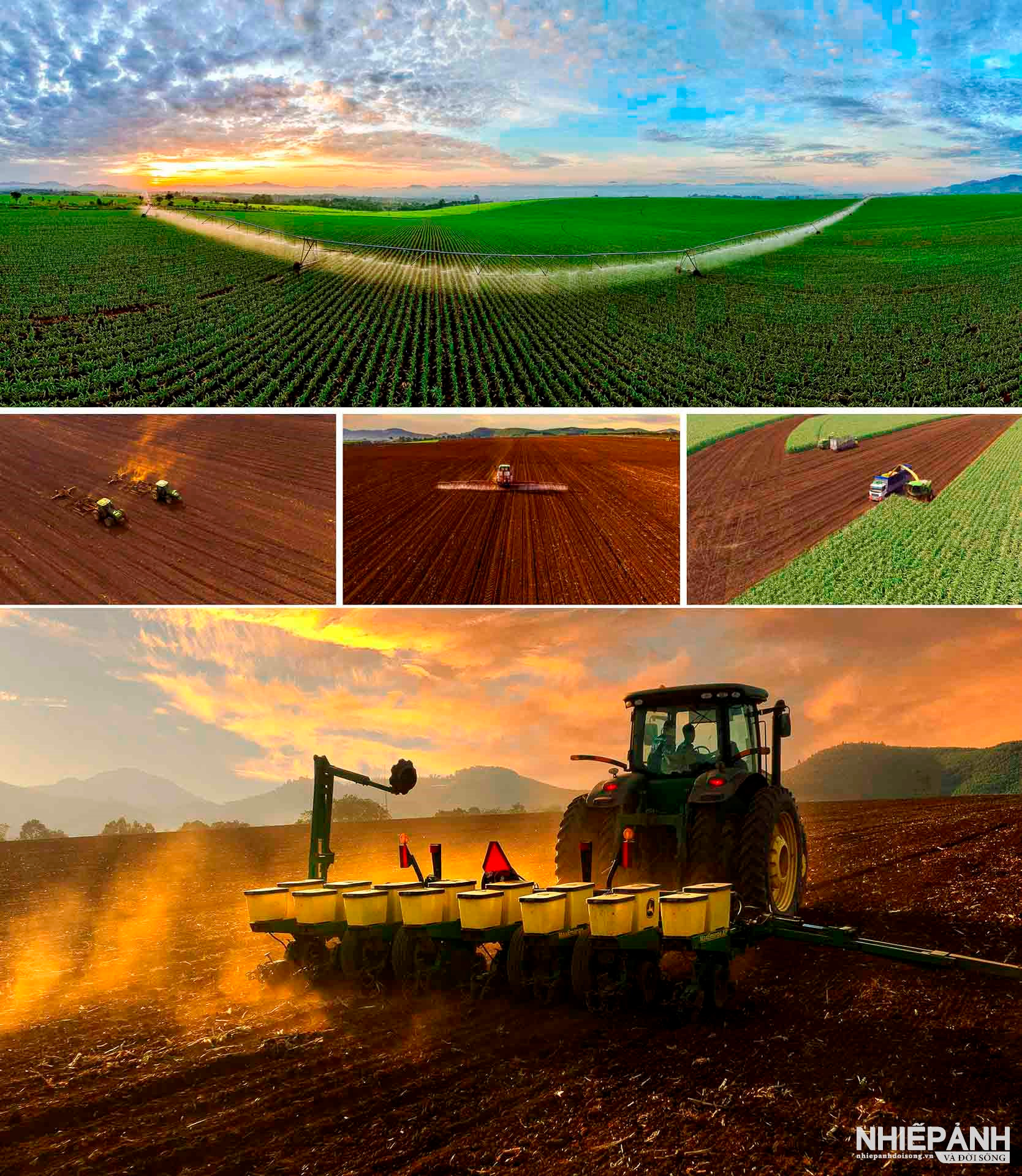 W_my new project_24.jpg