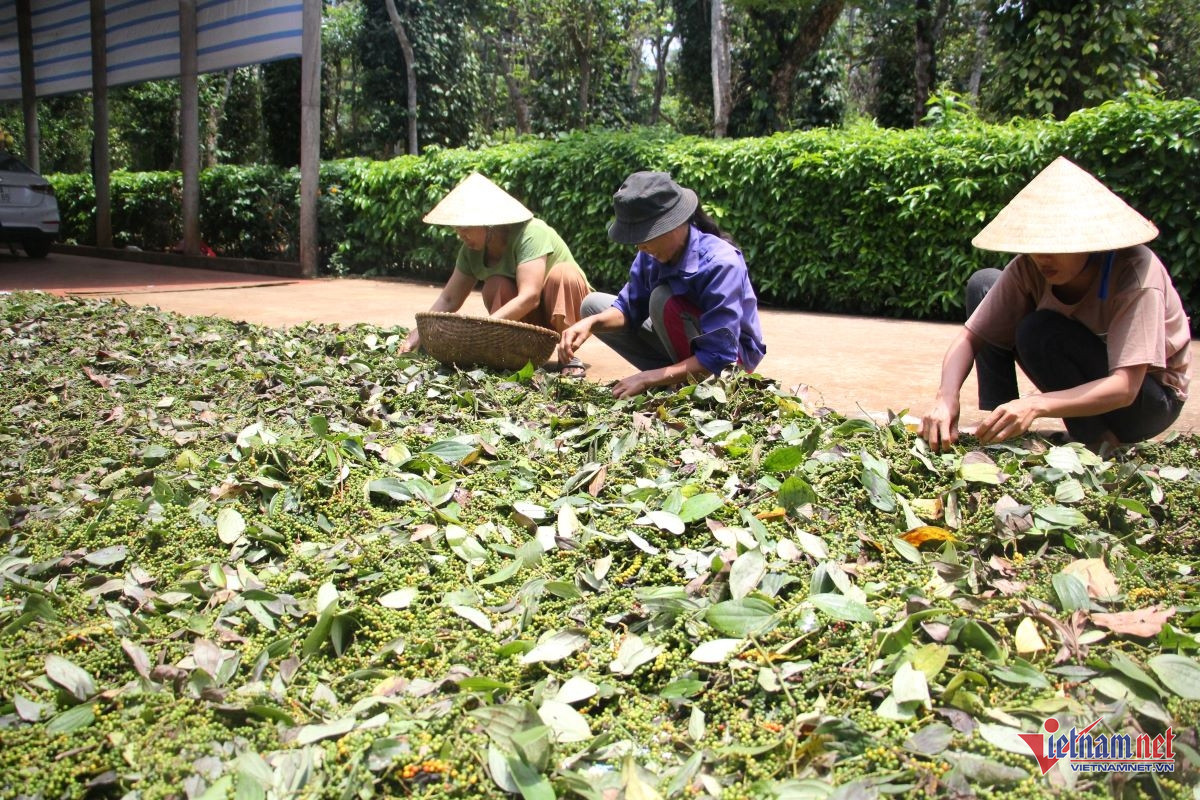 W-tin 21 kinh tế nông nghiệp tuần hoàn.jpg