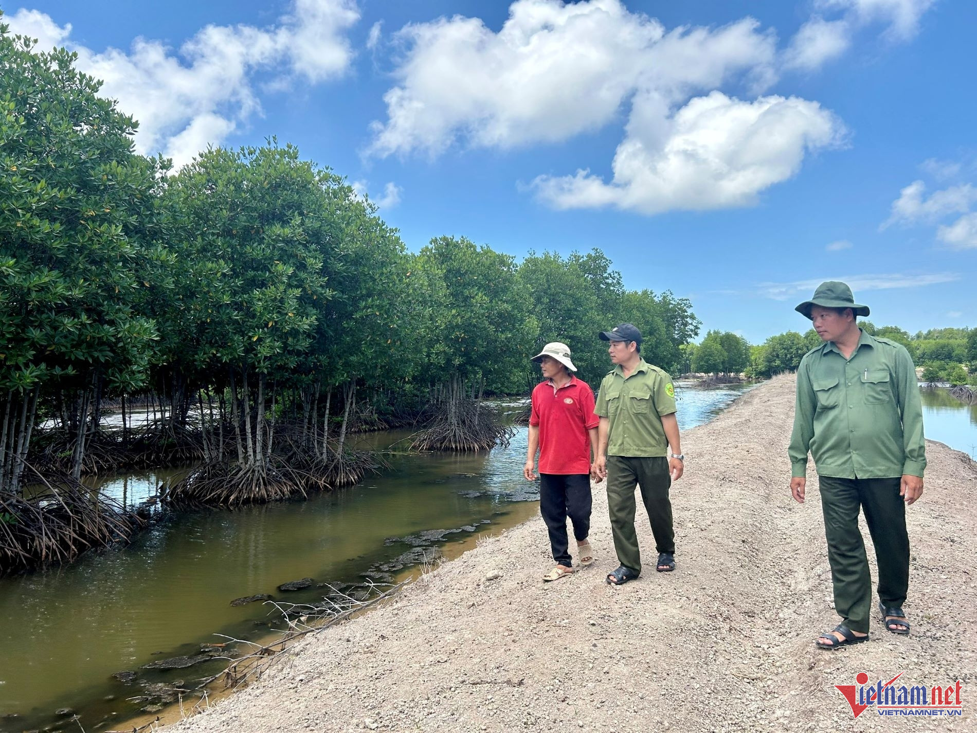 W-tin 23 không phá rừng 30.7.jpg