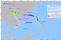 Bản tin trưa 6/9: Rìa siêu bão số 3 Yagi chạm đất liền, miền Bắc bắt đầu mưa lớn