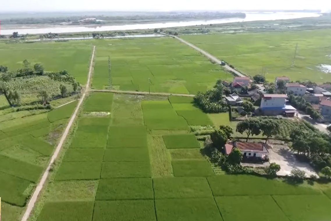 Bước tiến ngoạn mục trong hành trình xây dựng NTM huyện Tam Nông (Phú Thọ)