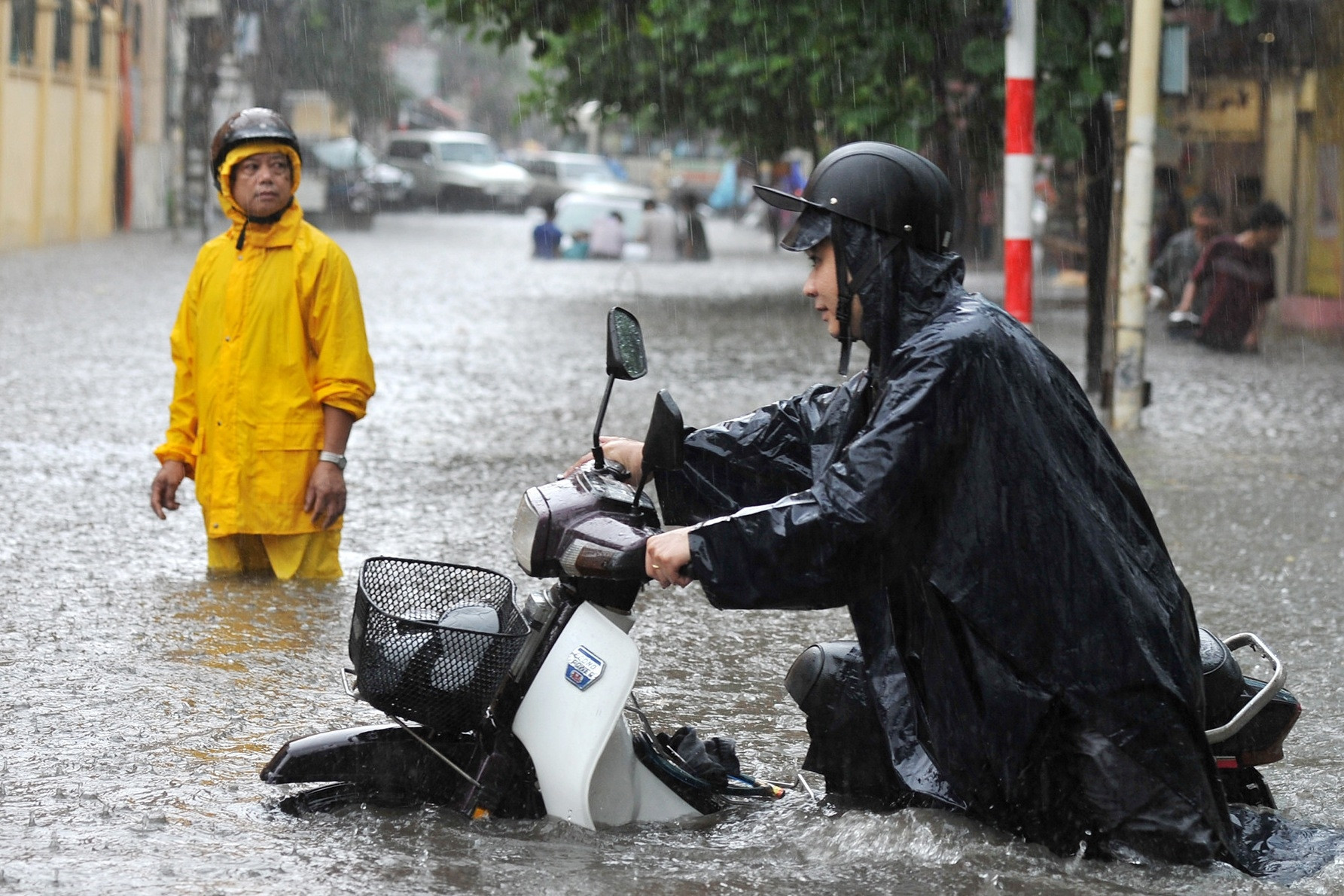 Các cơn bão trên thế giới được đặt tên bởi ai?