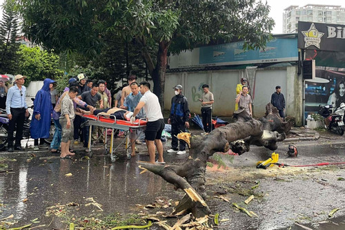 Chủ tịch Hà Nội: Không để người dân ở lại khu vực nguy hiểm khi bão số 3 đổ bộ