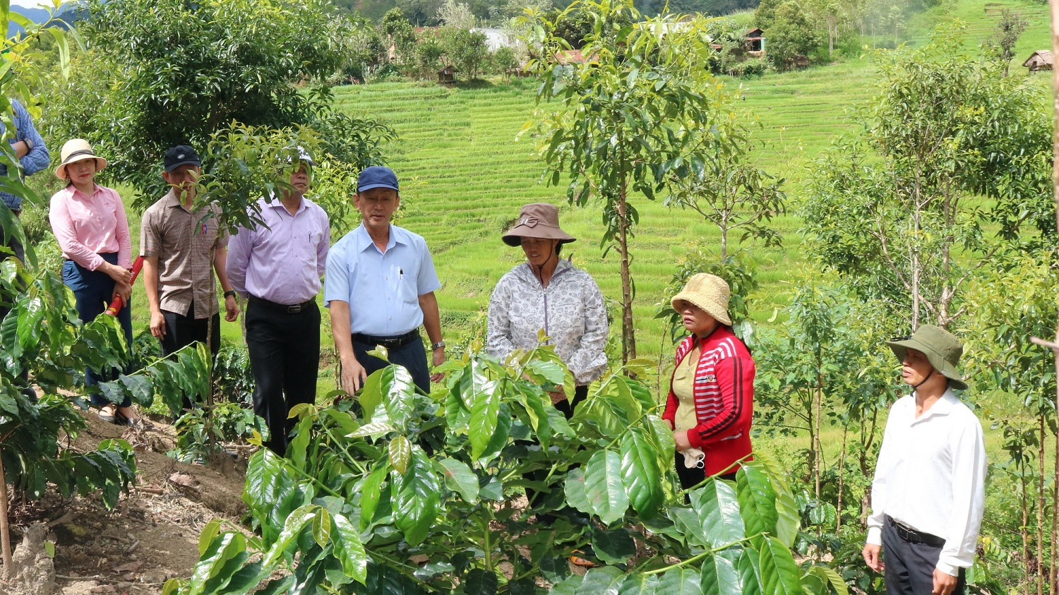 Thôn Làng Mới quyết tâm đạt 10 tiêu chí thôn NTM vào cuối năm 2024
