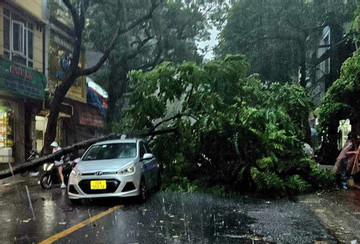 Nghiêm ngặt ở tại nhà, chờ bão số 3 Yagi đi qua