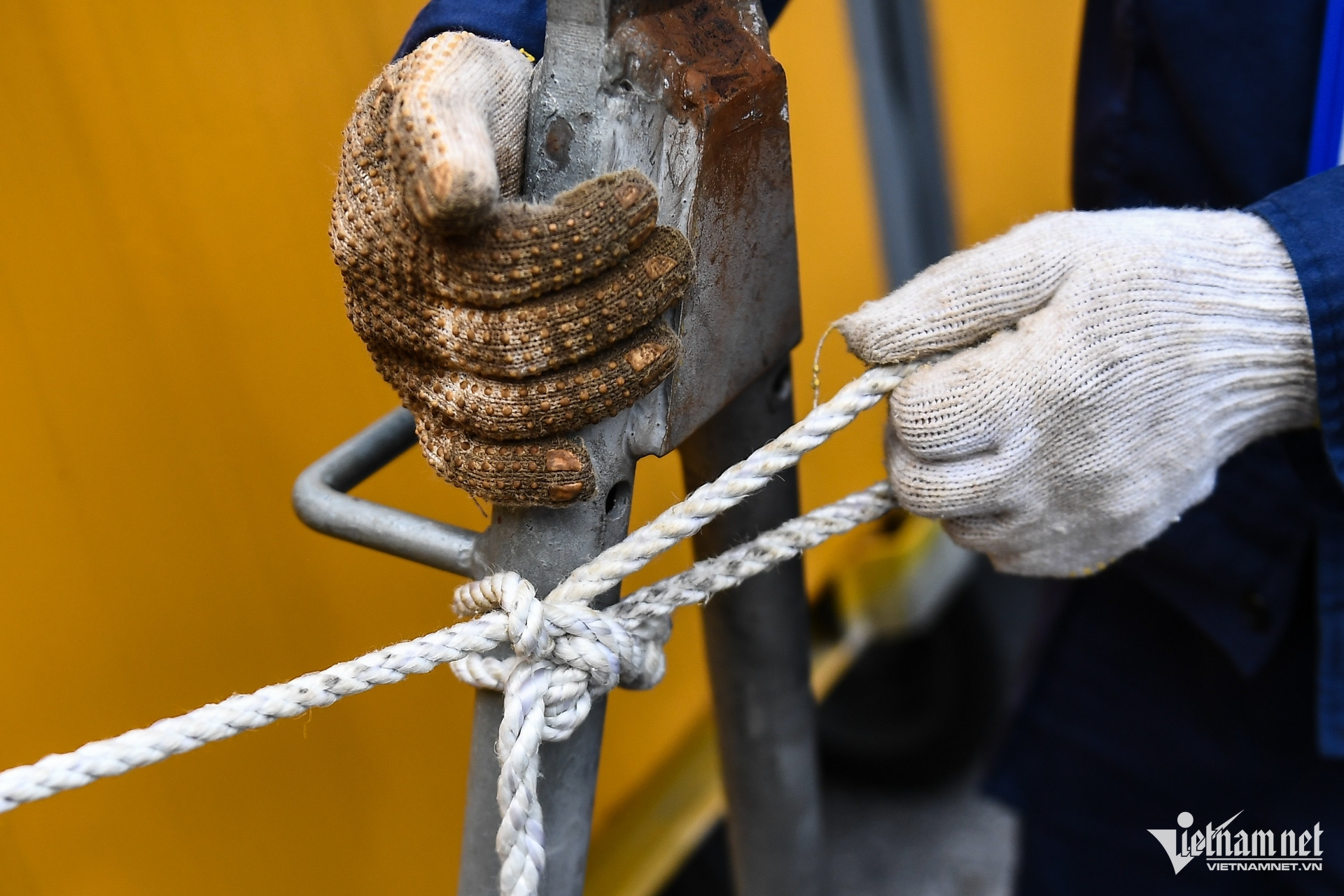 w bao yagi 21 3104.jpg