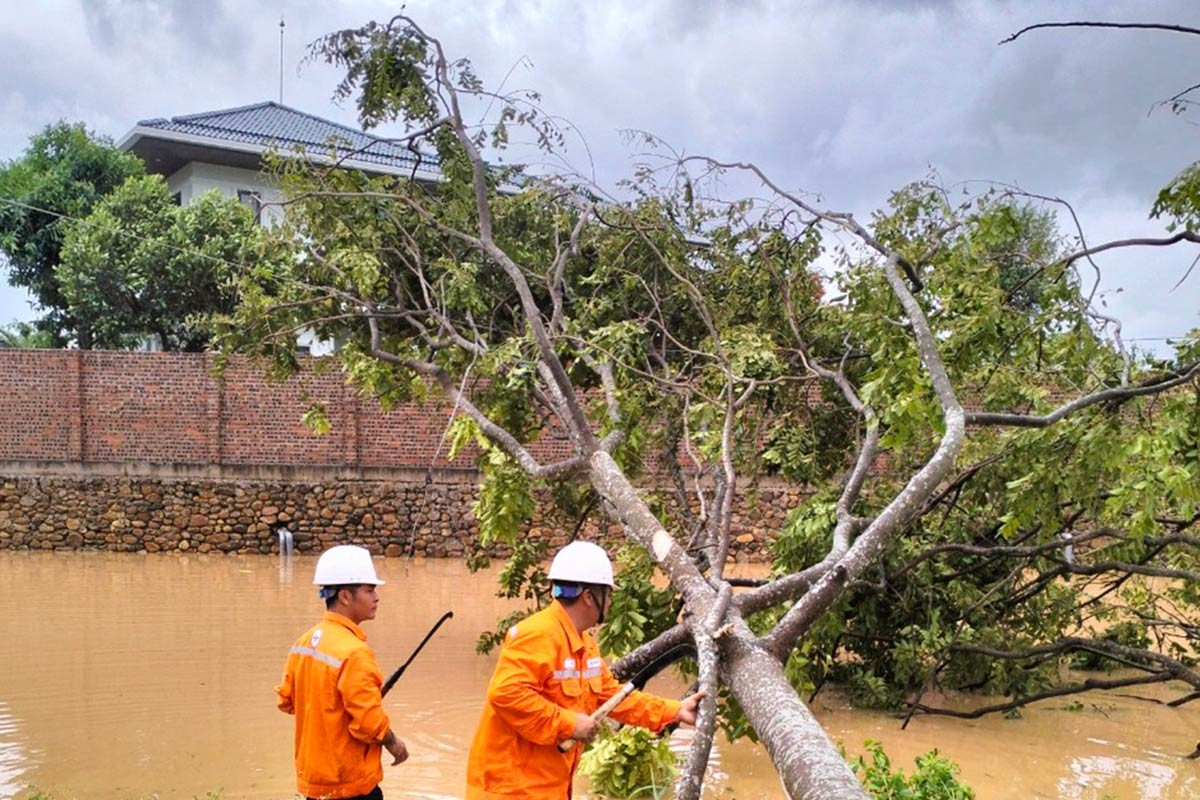 Tổng giám đốc EVN: Hôm nay 70% hộ bị mất điện sẽ được cấp điện trở lại