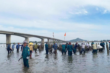 Tháo dỡ hàng nghìn cọc bê tông nuôi hàu trái phép trên sông ở Hà Tĩnh