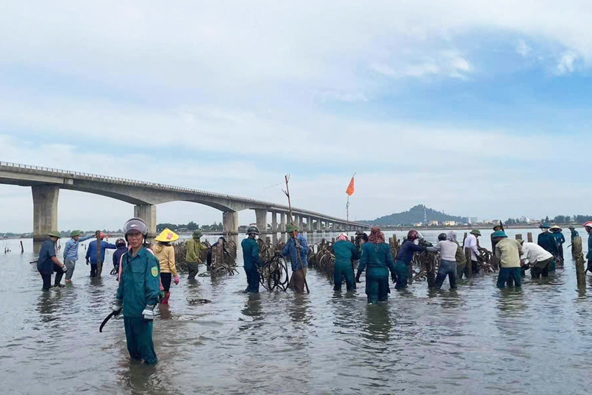 Tháo dỡ hàng nghìn cọc bê tông nuôi hàu trái phép trên sông ở Hà Tĩnh