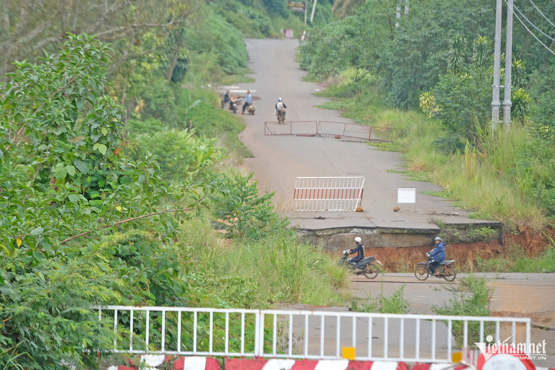 W-Duong tranh Bao Loc 6.jpg