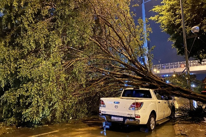 48 công nhân cây xanh TPHCM ra Hà Nội, Hải Phòng hỗ trợ khắc phục bão Yagi