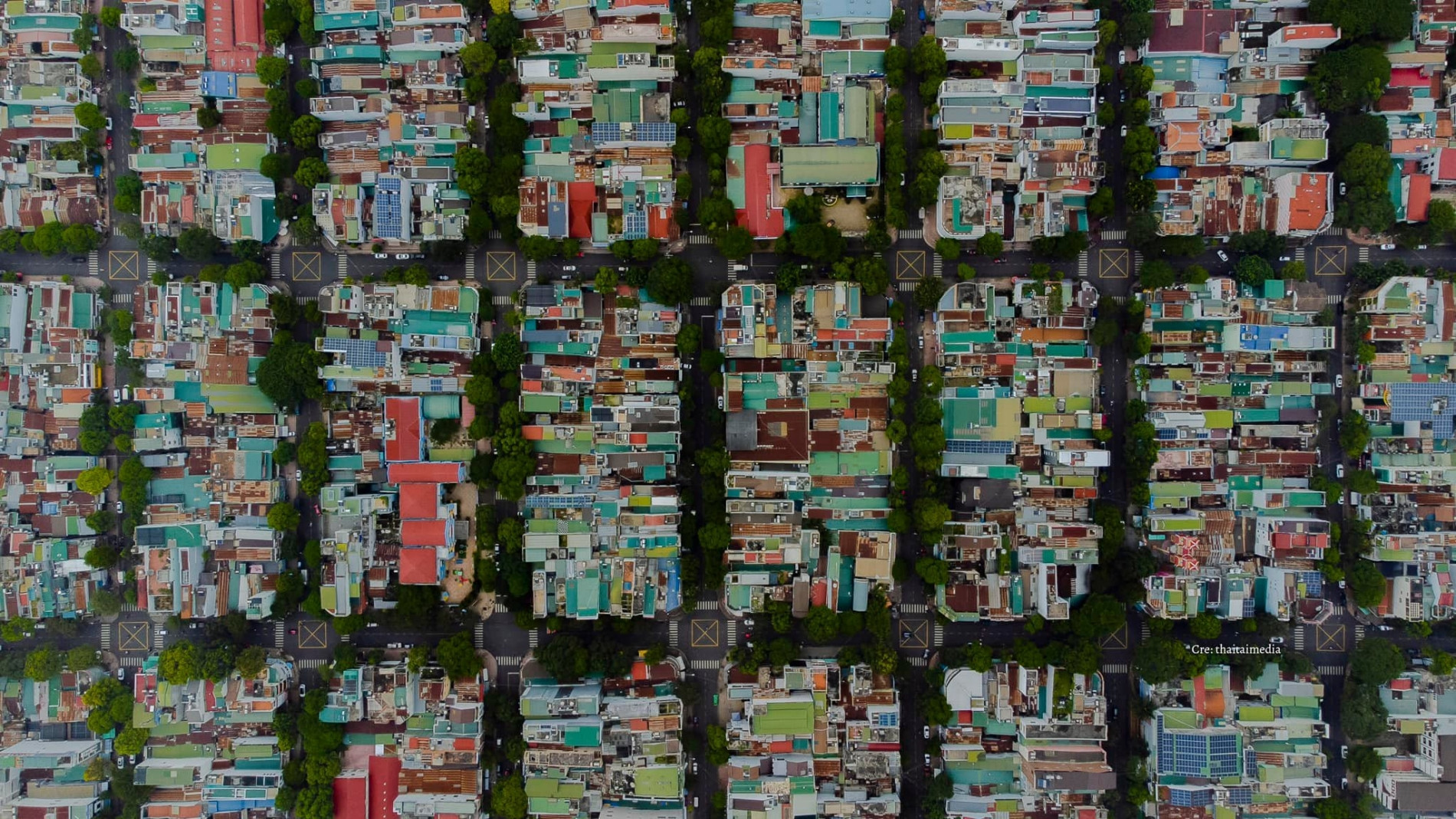 ảnh 1   cây xanh ở Buôn Ma Thuột.jpg