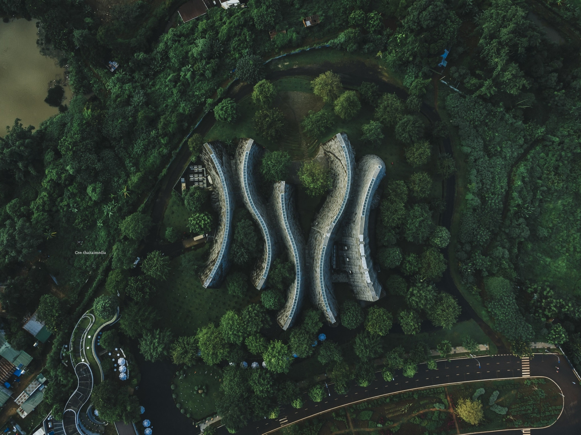 ảnh 2   cây xanh ở Buôn Ma Thuột.jpg