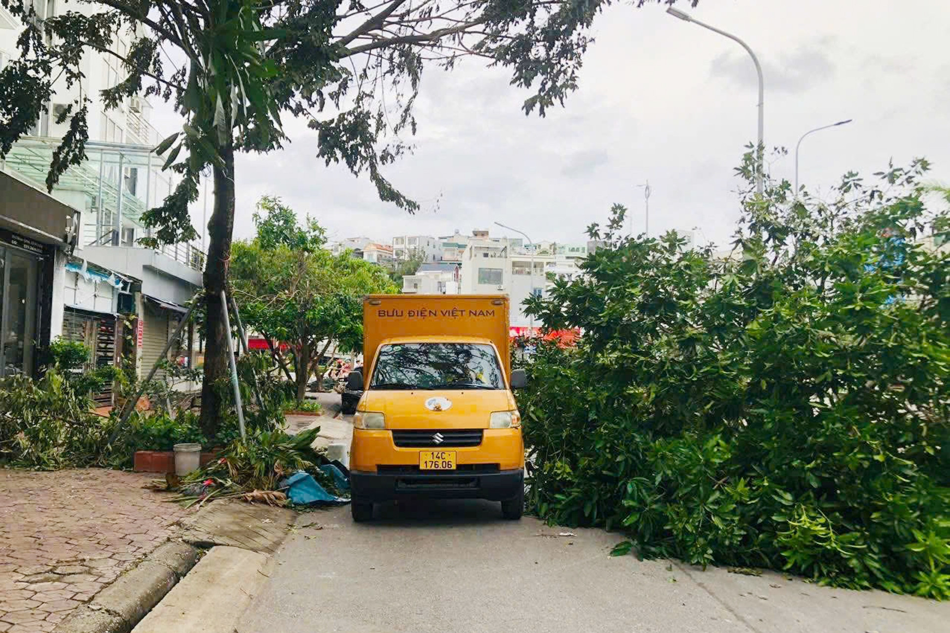 Doanh nghiệp bưu chính khôi phục toàn bộ dịch vụ ngay sau bão Yagi