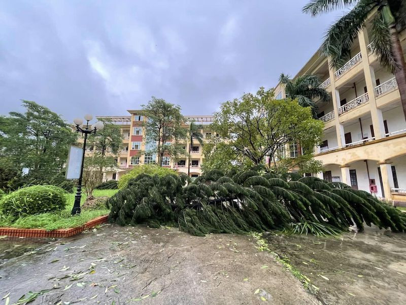 ha noi truong hoc.jpg