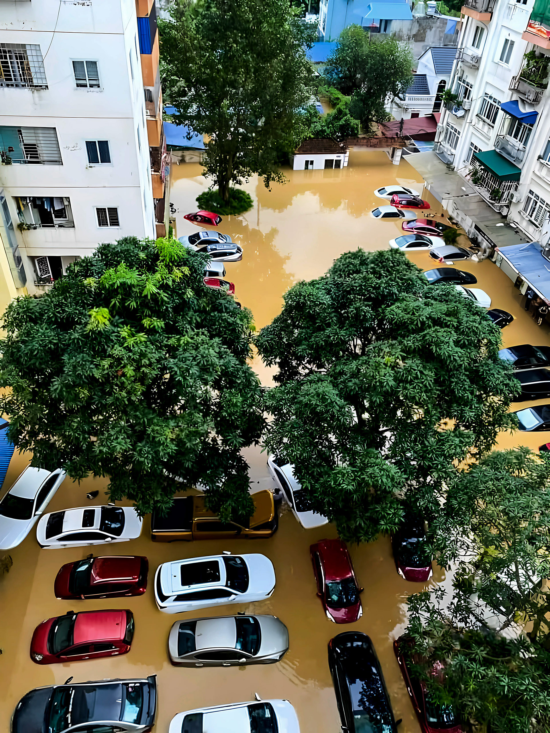 IMG_857B213A2A4A 1.jpg