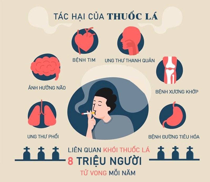 Thói quen của gần 40% số nam giới Việt dẫn tới nguy cơ mắc ung thư phổi Info VNN Thuoc la.jpg