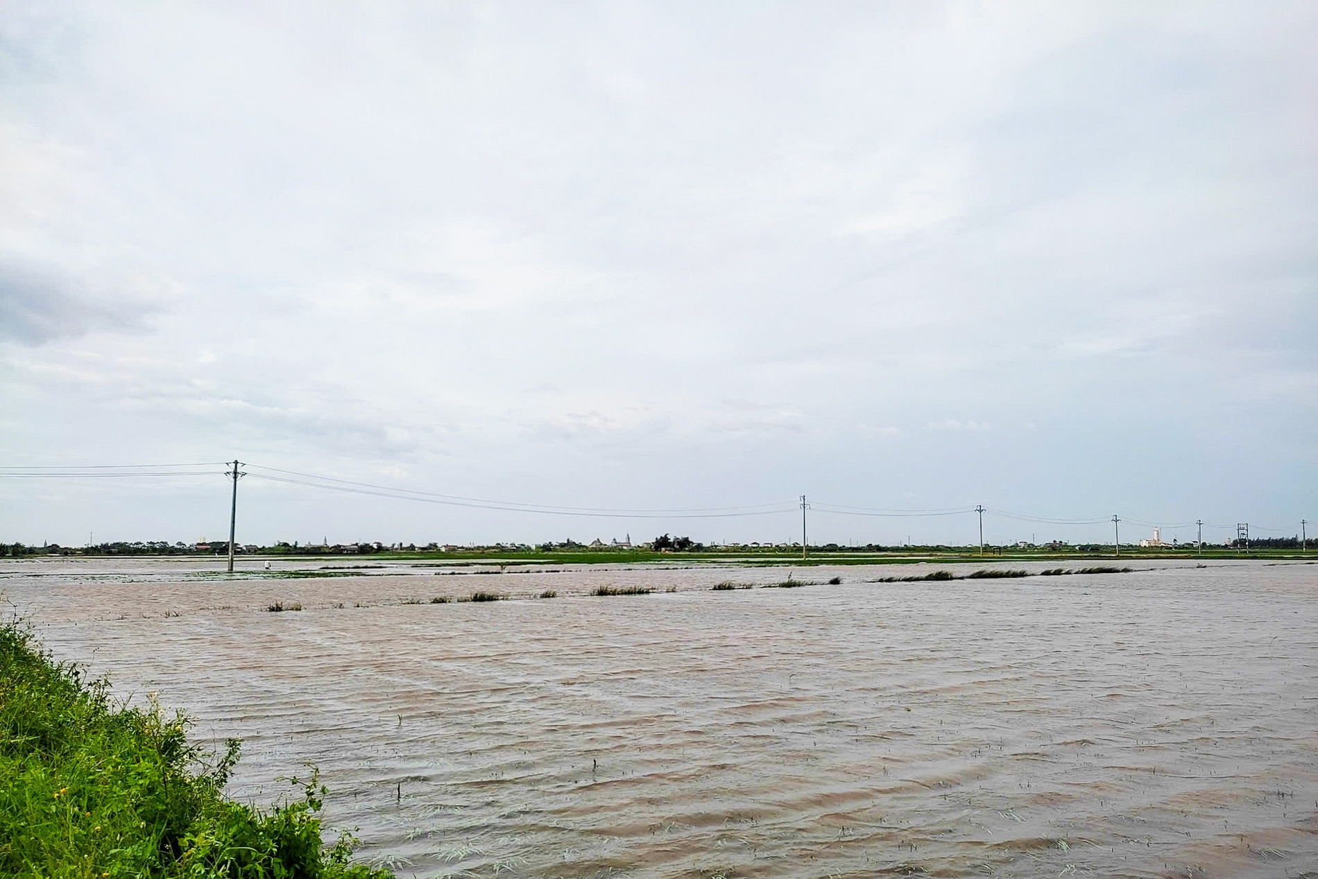Trăm nghìn ha lúa, hoa màu và cả nghìn lồng bè thuỷ sản thiệt hại do bão số 3
