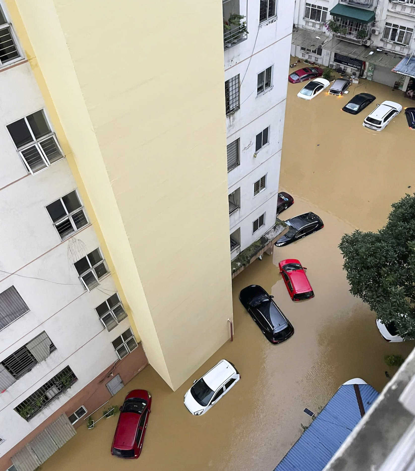 luc cuốn người_9.JPG