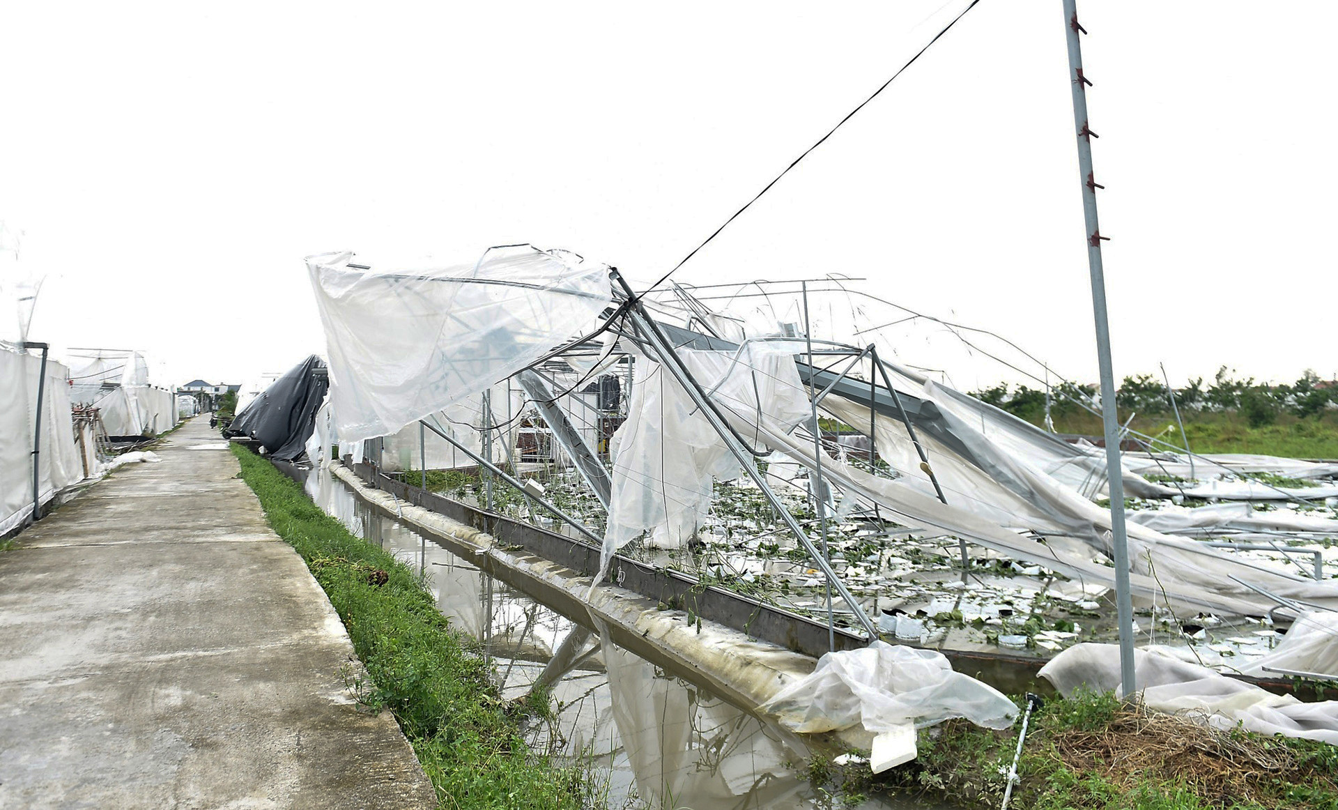 ndt0541 1725799772074948740156 2925.jpg