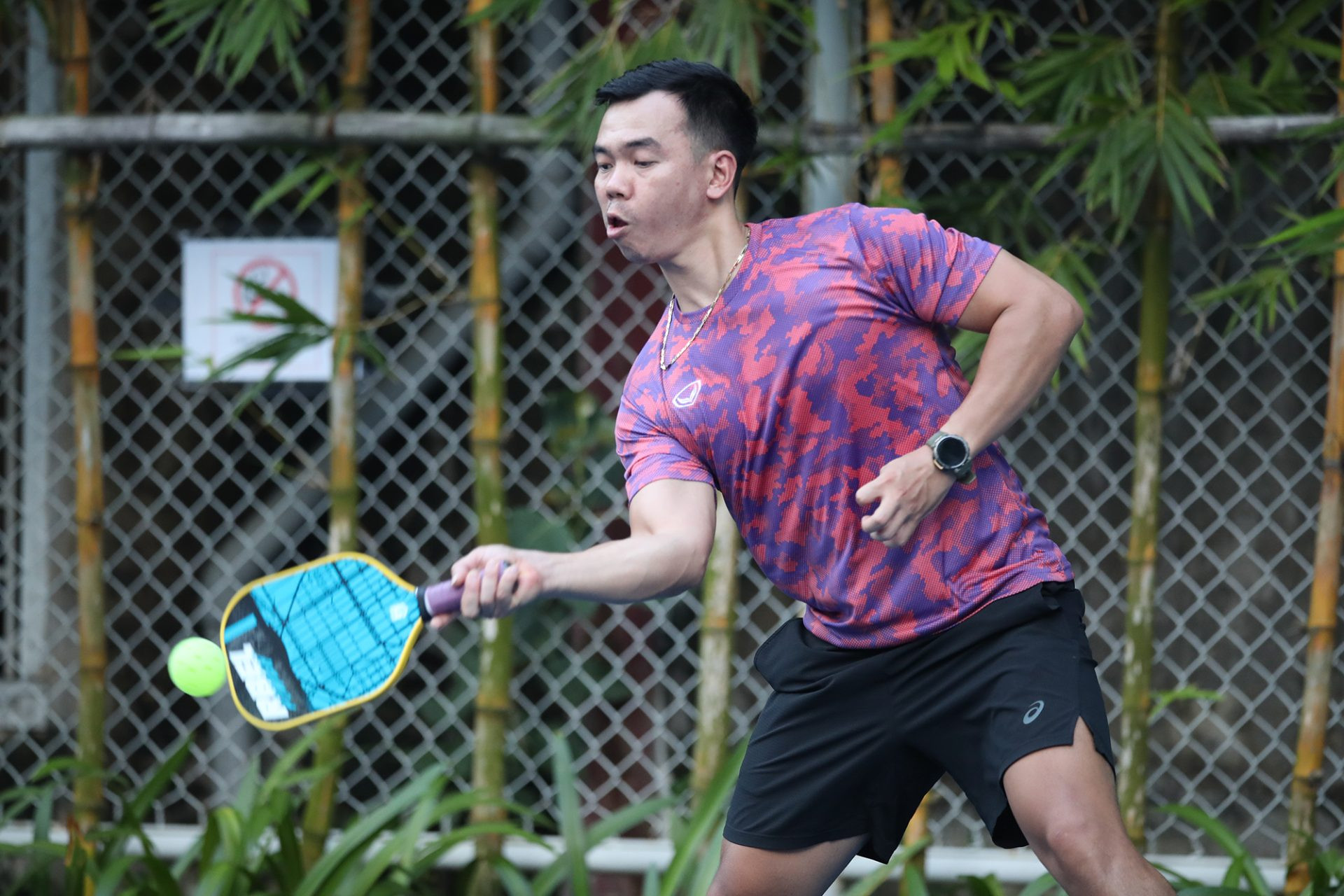 Pickleball3