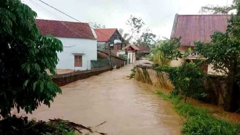 vỡ đễ 4.jpeg