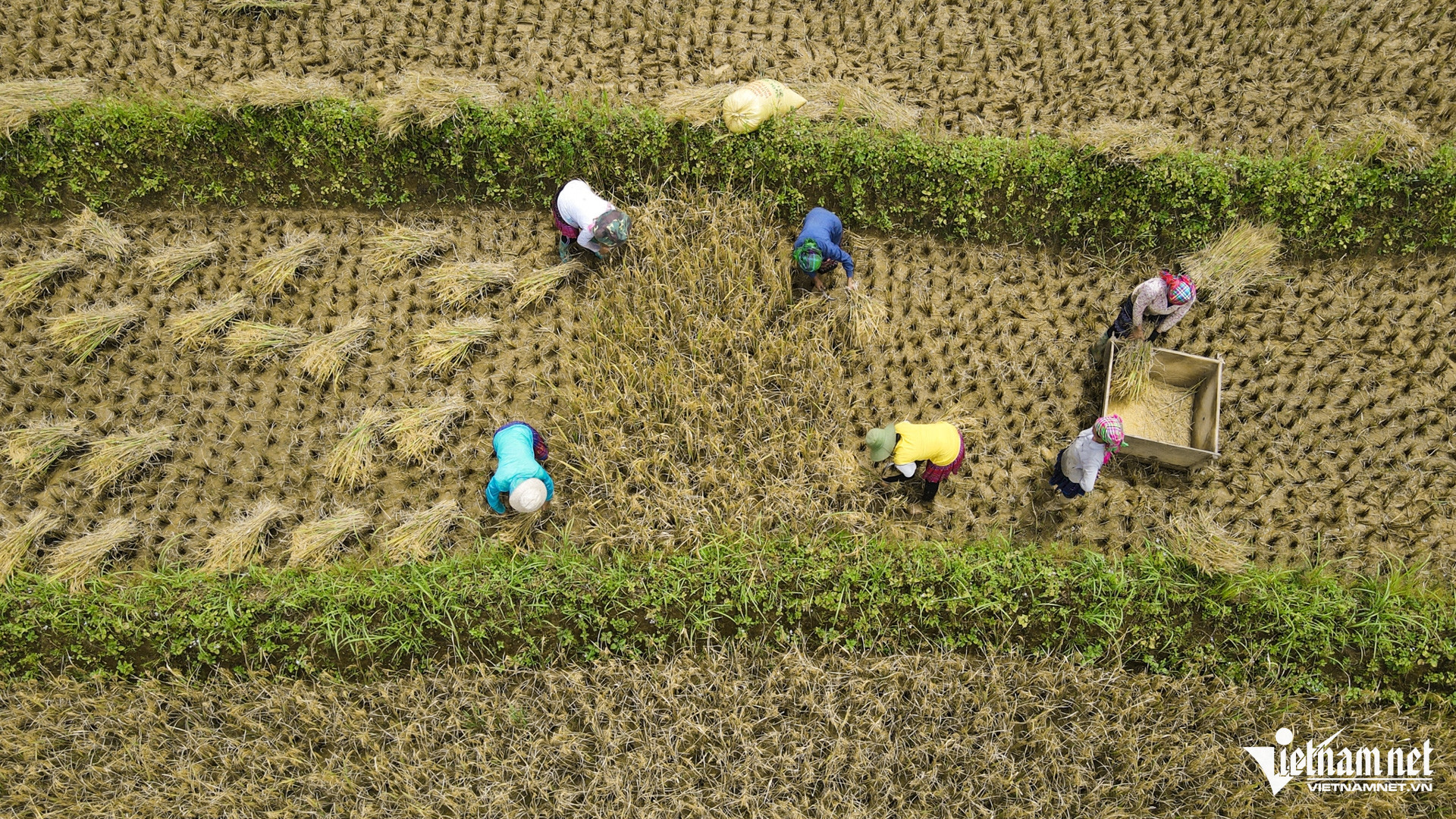 W-Giảm nghèo (114).jpg