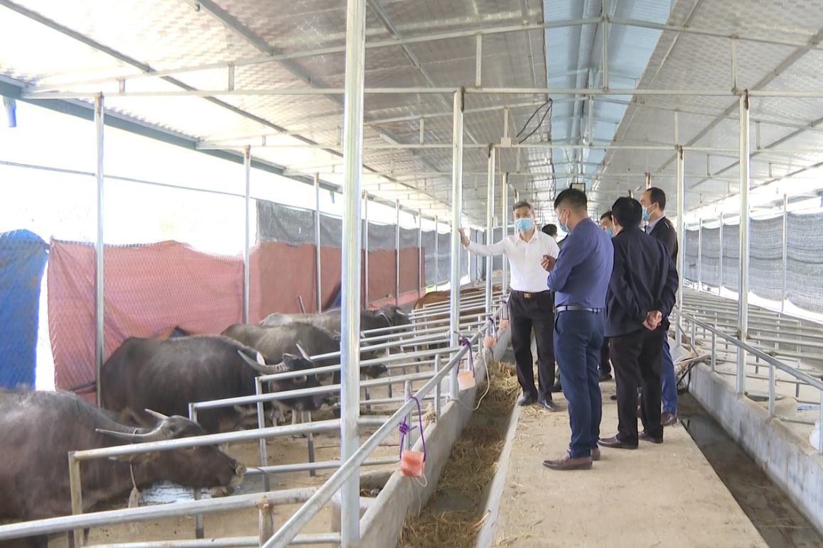Xã Nậm Hàng (Lai Châu) tập trung nguồn lực cho các tiêu chí xây dựng NTM