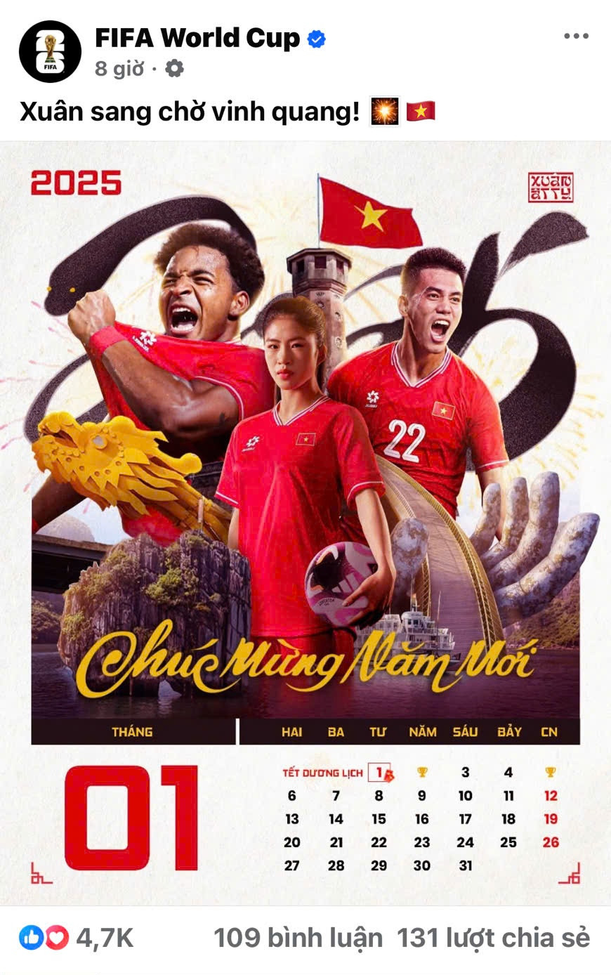 fifa viet nam.jpg