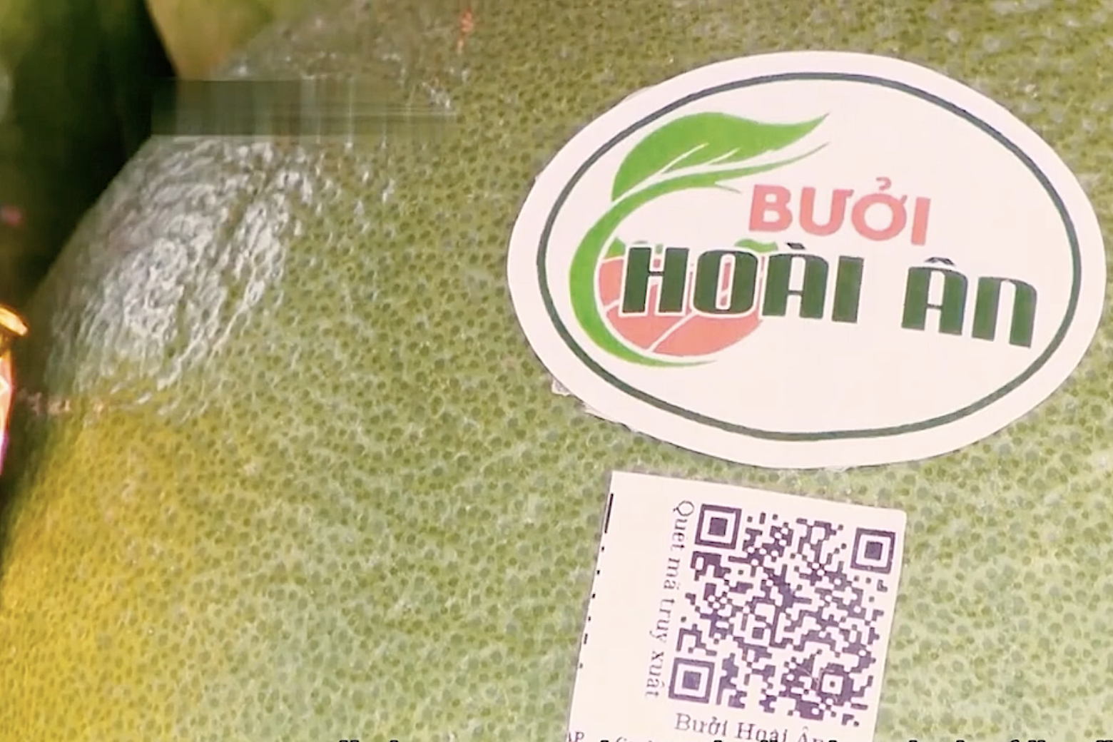 Minh bạch nguồn gốc nông sản“Made in Bình Định”