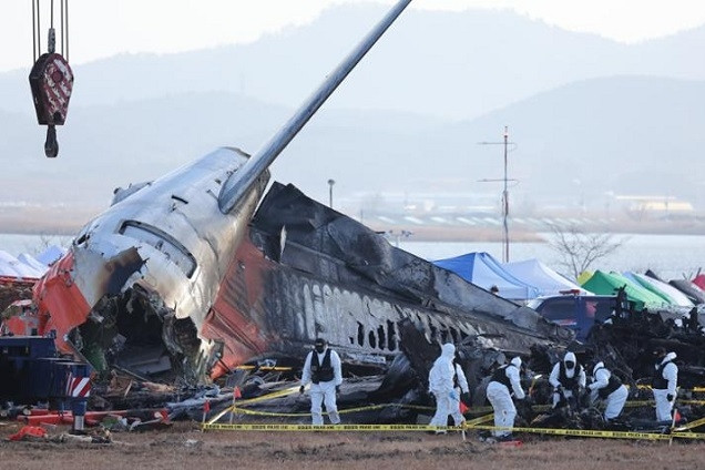 Tai nạn máy bay Hàn Quốc khiến 179 người chết, đội săn chim ở sân bay đã làm gì?
