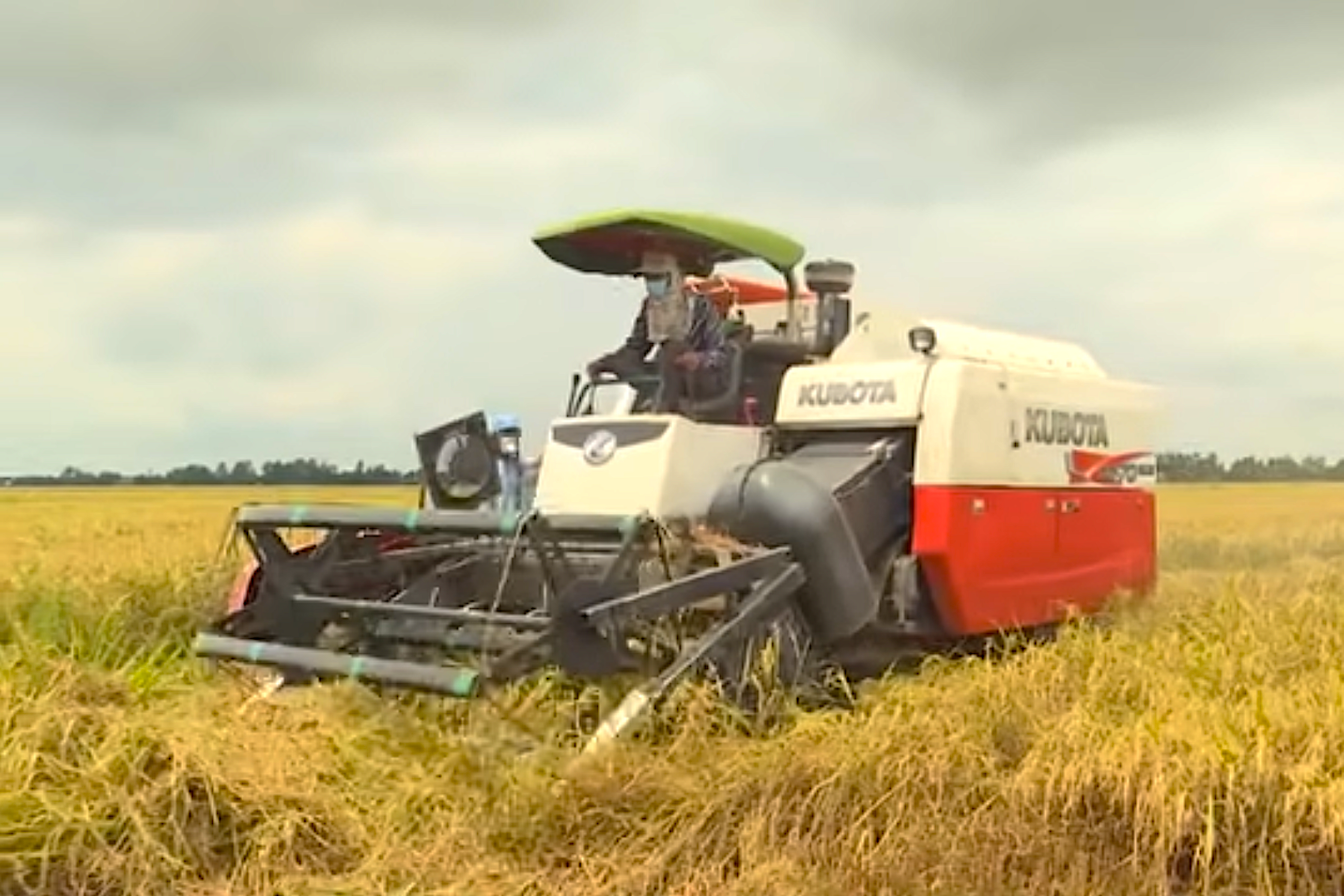 Ứng dụng công cụ FarMoRe thu thập thông tin canh tác lúa theo vụ ở cấp đồng ruộng