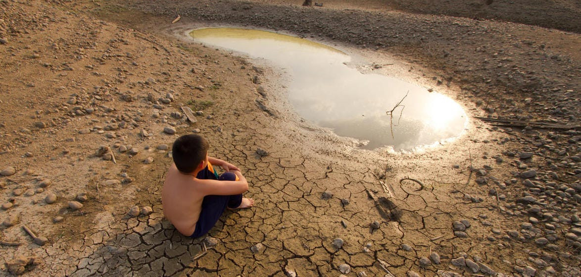 an ninh luong thuc.jpeg