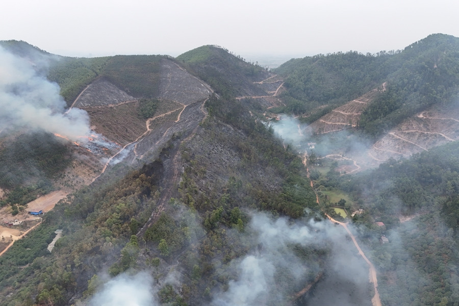 Khống chế cháy rừng diện rộng ở Bắc Giang