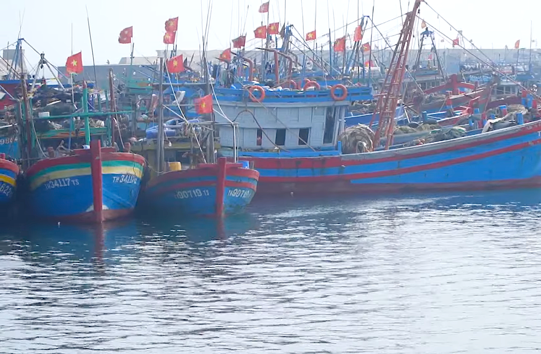 Hải Phòng: Thúc đẩy ứng dụng trí tuệ nhân tạo, viễn thám, cảm biến trong dự báo, tìm kiếm ngư trường khai thác thủy sản